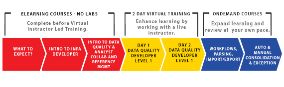 Data Quality 9x: Developer, Level 1 - Blended Learning